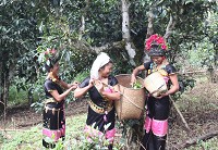 �������ؐ��ؔ�������@Щ�ϲ��