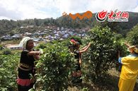 �����ѷ��w�ɴu�߽Y�����·�