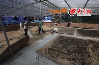 �����w�ķ���ϛ��񵾹ȺͲ��~