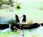 ��������̫ꖵĂ��f