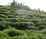 �°��� ���~�ĺ��