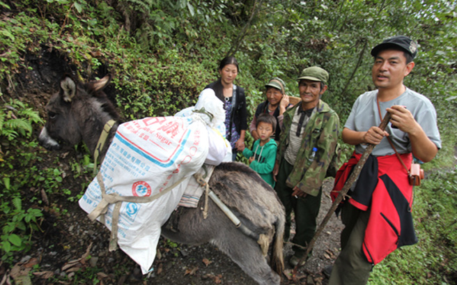 �҂��cľ�ώ����Ҷ���һ������