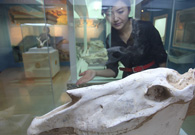 ���R�������������L���RĘ