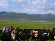 ����������D��