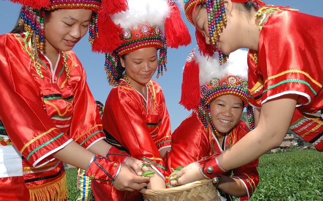 ��ɽ��Ů�����ڲɲ�