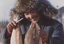 �߰�ʮ����������������~Ƥ���龰