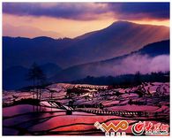 �t�ӹ�������