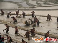 Ԫꖹ�����������