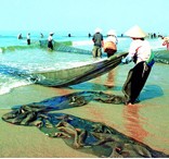 ����퍘�С��������