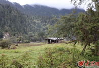 ǧ���겻׃��ԭʼ��B��Ȼ�L��