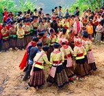 ���������ζ��