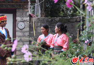 �T�����p��