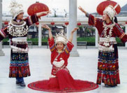 �����M56�������ͥ��֮����