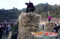 ��կ�Ĳع��ϵĂ��y����֮һ���ѹȲݱ�ِ