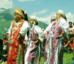 �Ӱ�����׷��ʧ���ӛ��