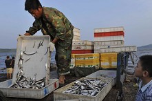 ���c�邃������~���ܚgӭ