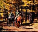 ��������vʷ��B