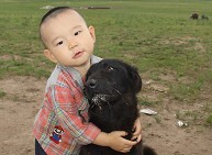 �����͈D����O������