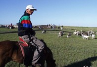 �T�R����