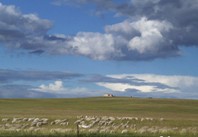 ��ԭ���ҵļ�