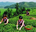 �����˿�