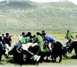 ���������̫ꖳ��