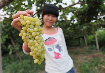 Ʒ�L���Ѽ��ϵ����۹���