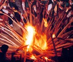 �����ѹ�(ji��)