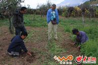 �����ȥ���J��N�ġ��x�_��ˎ��