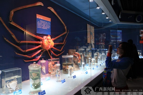 �����u�������磬�w����������{ɫ����֮��