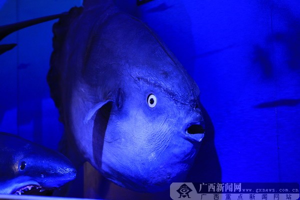 �����u�������磬�w����������{ɫ����֮��