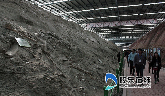 �T�ǿ�����ʯ�ھ�F��