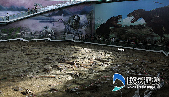 �T�ǿ�����ʯ�zַ