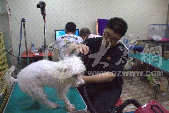 ��鴵�L�C���кܴ�������ڞ錙�ﴵ�ɵĕr�򣬌���������ܡ�Ҋ��ӛ�� ���� �z