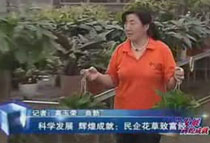 �ƌW�l(f��)չ �x�ͳɾͣ����󻨲��¸���