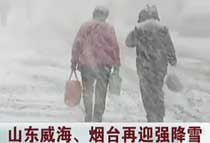 ���������_��ӭ����ѩ