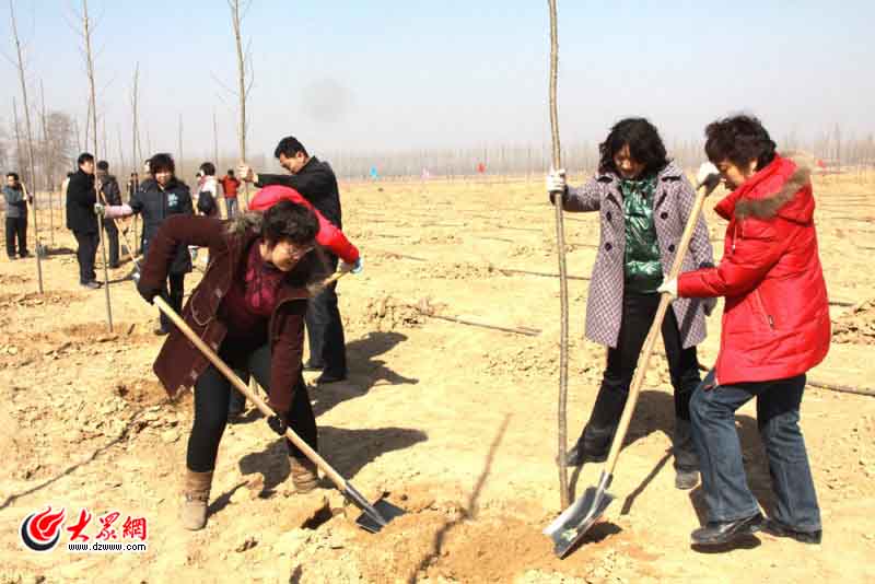 ����Փ���W�ѹ�ֲ�����Ę䡱