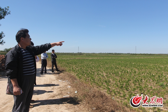 ����һ��ӛ���h����չʾ�n���Ƿ������������ʾ���@