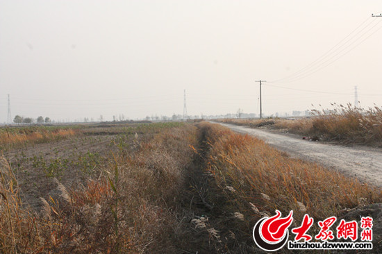 ���"����ӛ":��·�����ˮ�� �ͷ���׃��������