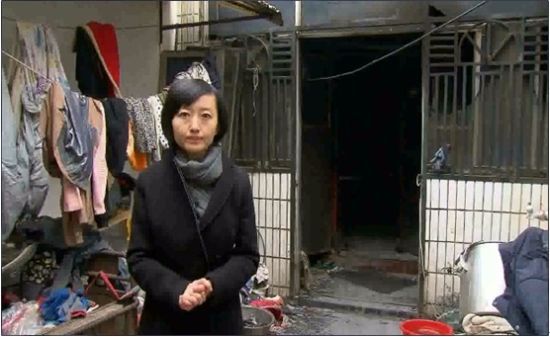 ��Ŀ�؈D��