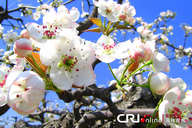 �c(di��n)���鿴��һ�(y��)