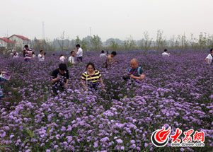 ��݈@�N����������