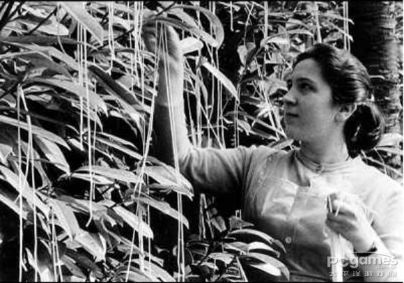 ��ʿ��l���S��