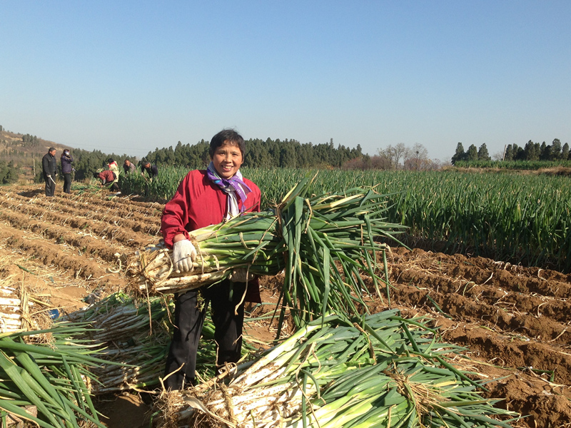 ���ի@�Ŀ옷�����������C���(zh��n)��һ���[�r(n��ng)�͹͂���Ď���һ�����[�������d���f����һ��֮�У��ի@�ĕr��(ji��)��옷���������ߣ������� 15990990221.jpg