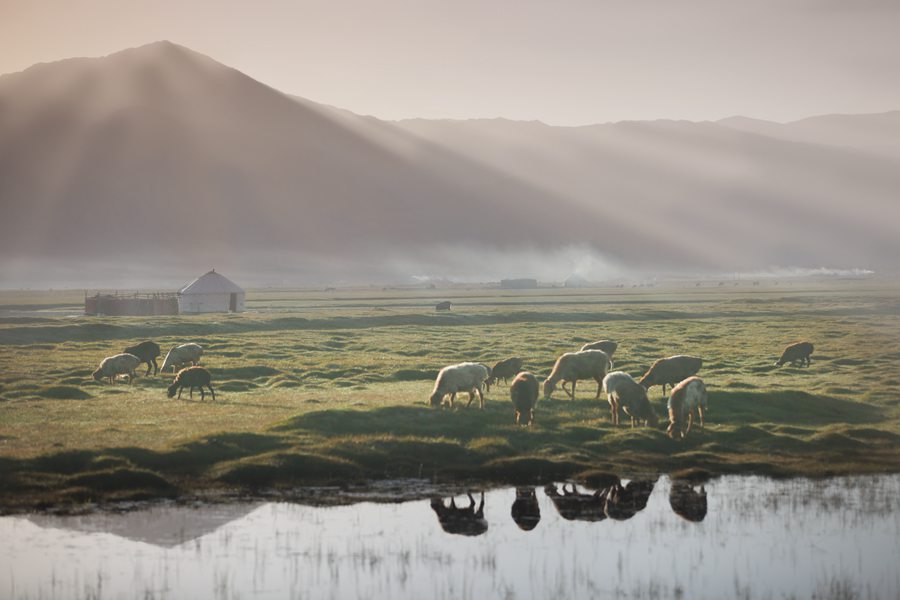 ��������--�wϣ��