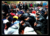 ���Ȫ� ���f���̾� ��Ԗ|ǲɢ���N�ˆT_����.jpg