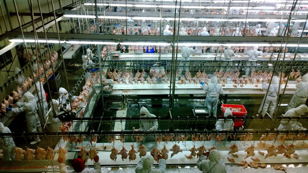 ����ȫ��һ��  �zӰ ����֥  �Ԓ��15230488570.jpg