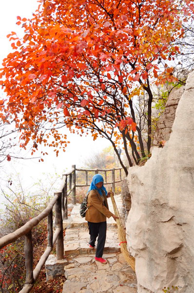 �����n���^(q��)�� �zӰ  ������ �Ԓ 13573353533.jpg