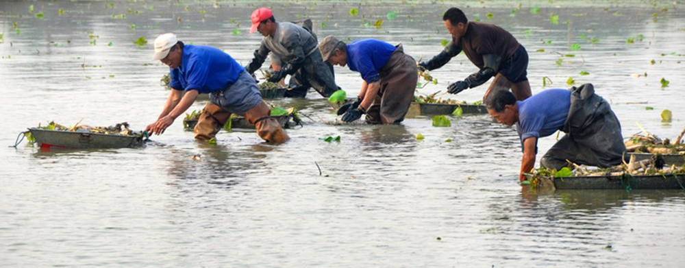 ���ڄ�(d��ng)��ɡ� �zӰ  ������ �Ԓ 13573353533.jpg