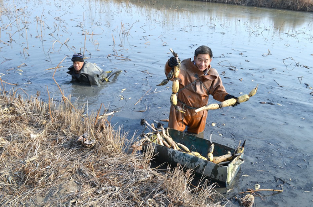 ����܊�� 45�q ��ź����(d��ng)�r(sh��) 13869359885.jpg